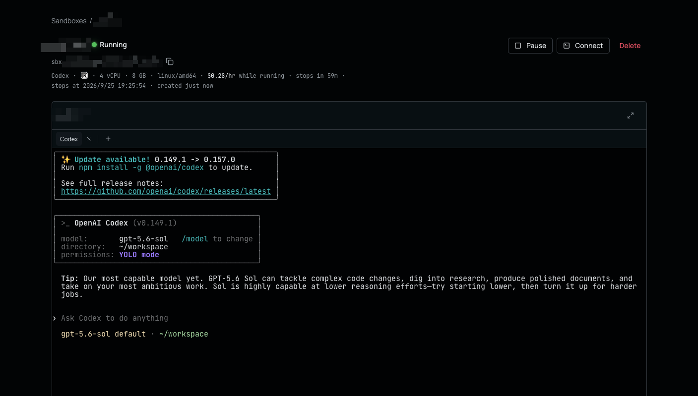 Sandbox環境が作成されて、Codexが自動的に起動